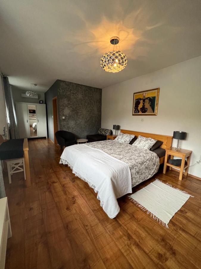 Apartments And Rooms Kristina Dreznik Grad Ngoại thất bức ảnh